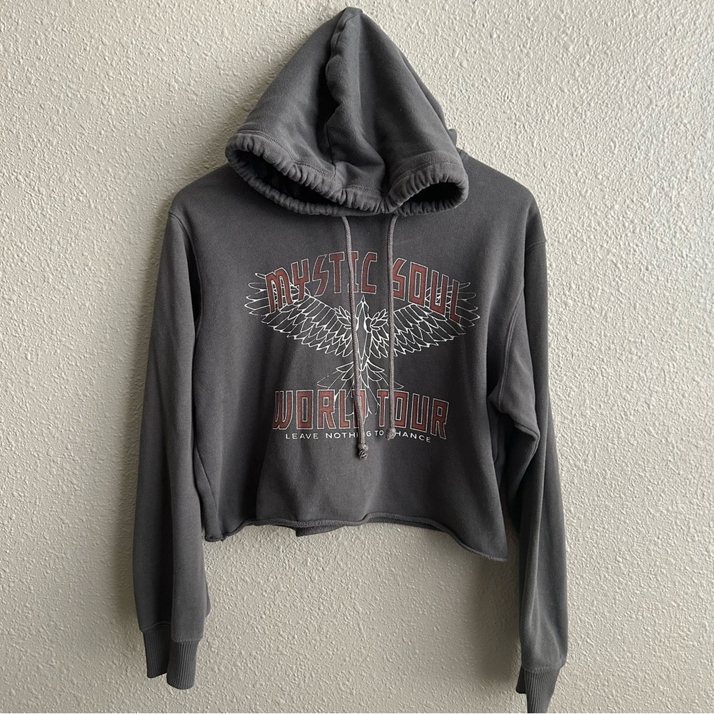 Hollister Gray‎ Cropped Mystic World Tour Oversized Pullover Hoodie Sweatshirt